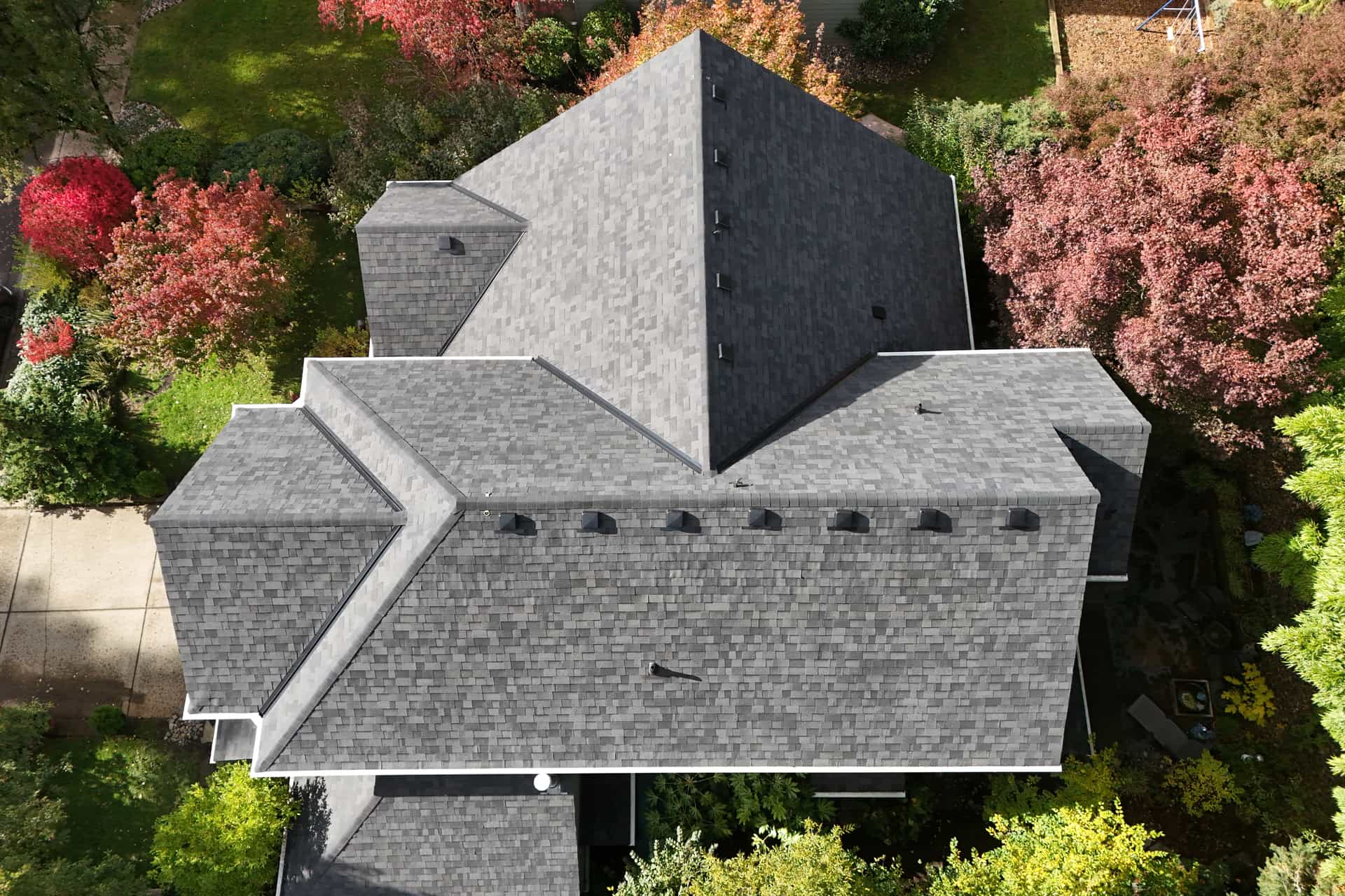 Aerial view of a finished architectural shingle roof framed by Pacific Northwest autumn trees