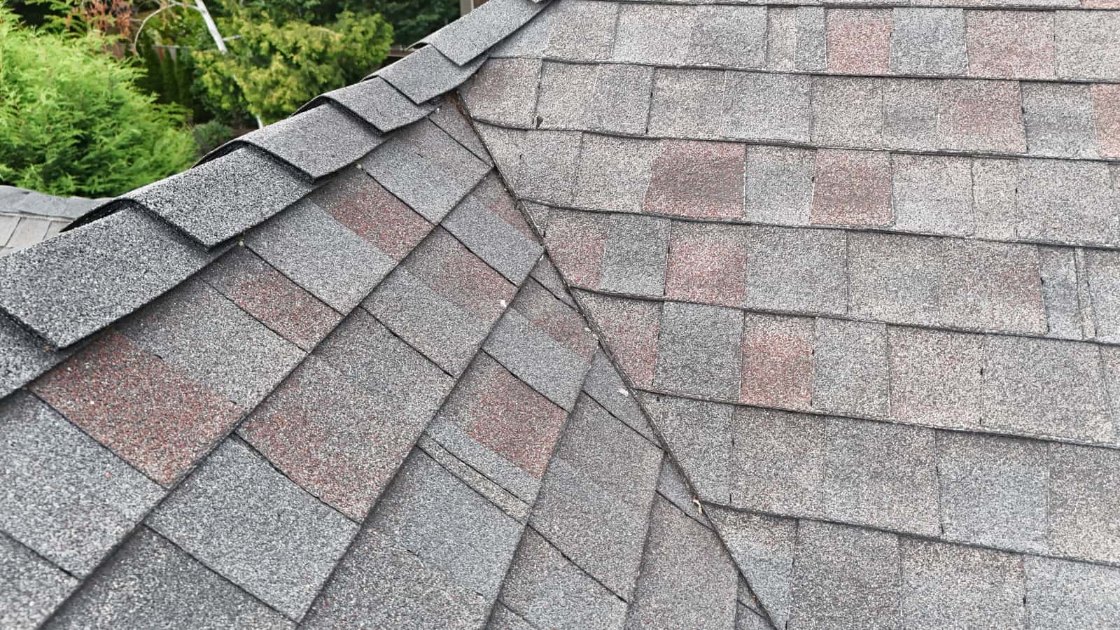 Close-up of architectural asphalt shingles on a Pacific Northwest roof
