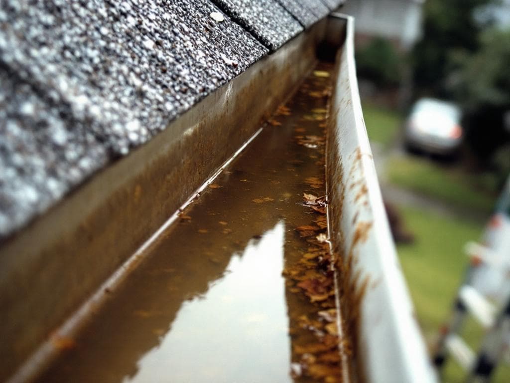 Side view of gutter showing improper pitch with standing water
