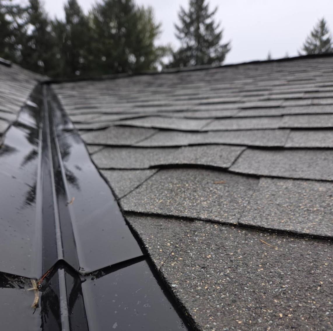 When to Replace Your Roof: 8 Critical Signs