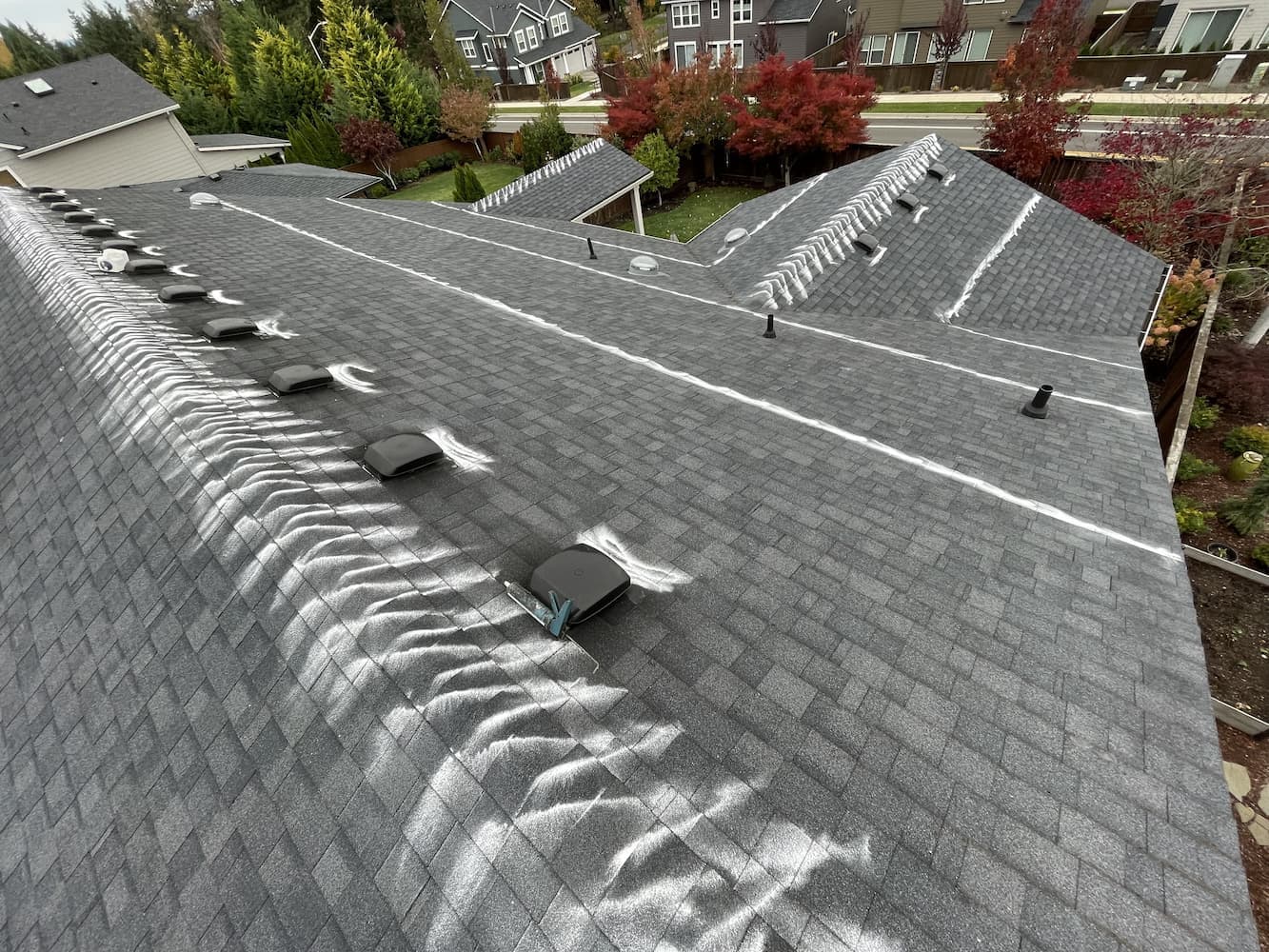 Moss treatment applied to roof for long-term protection