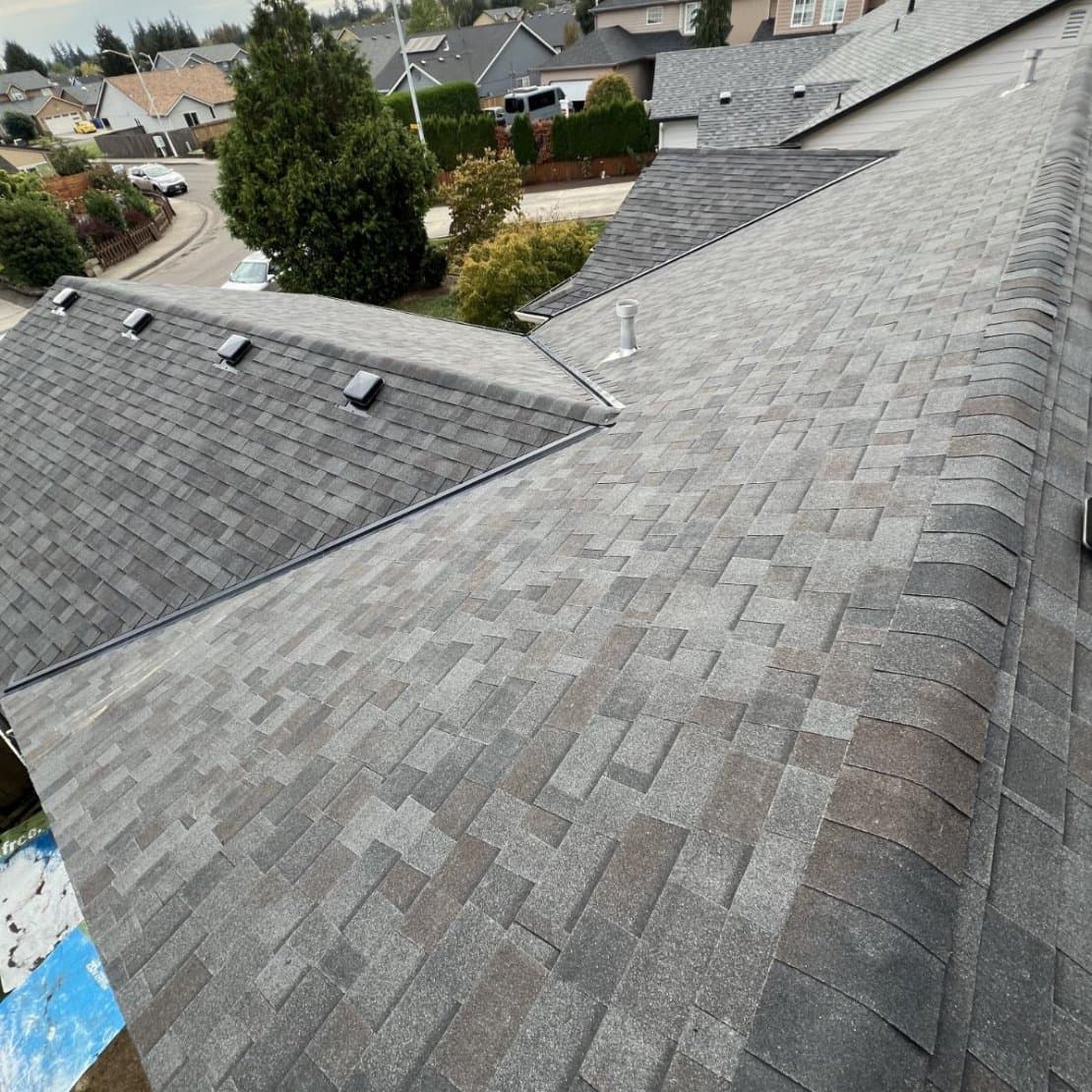 Professional roofing project