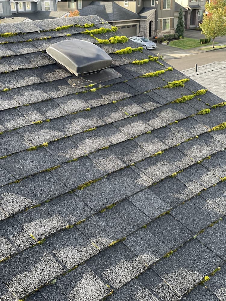 Before roof cleaning - roof with moss and algae buildup in Vancouver WA