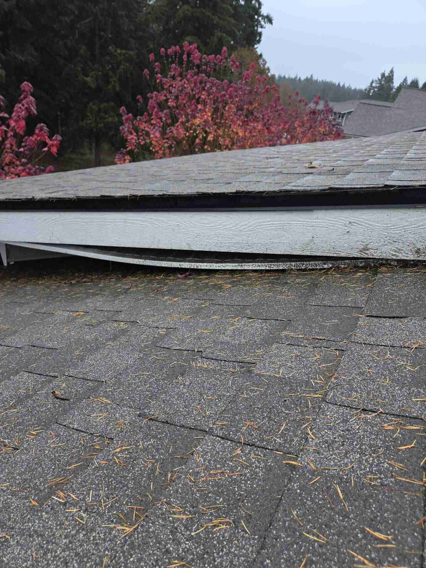 Real roof maintenance finding: wood trim rot along a roof edge caused by water infiltration on a Clark County WA home