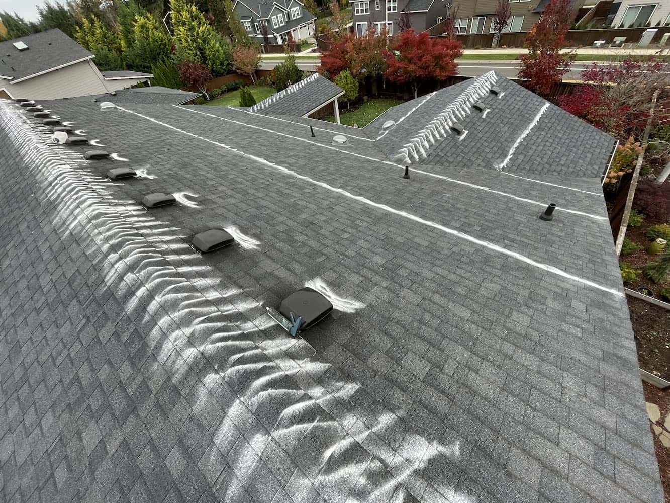 Pacific Northwest home with moss growing on asphalt shingle roof