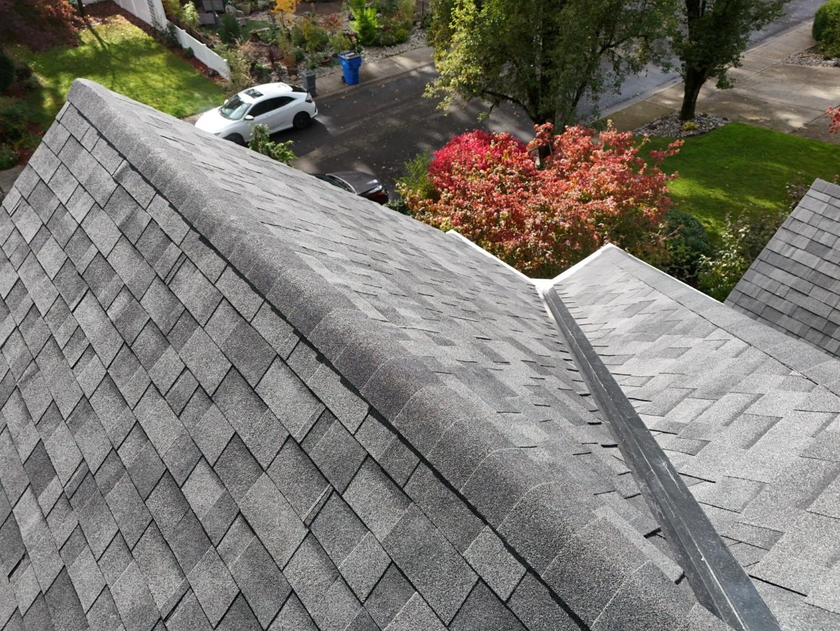 Clean residential roof after professional moss treatment