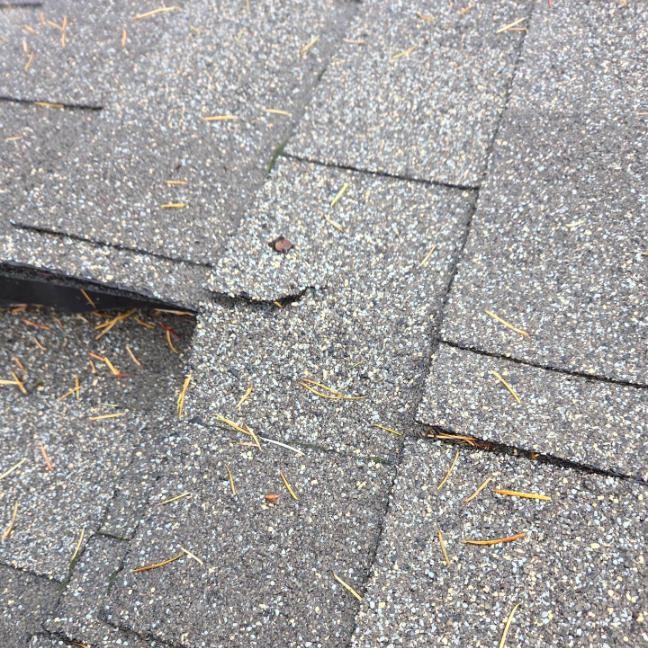 Cracked roof shingle with exposed nail showing damage