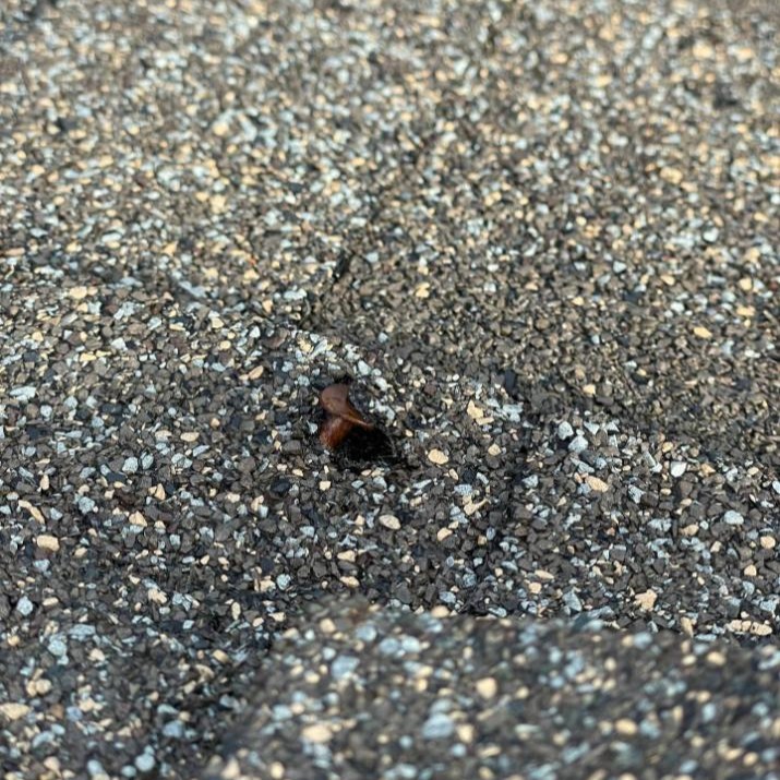 Popped nail creating hole in asphalt roof shingle