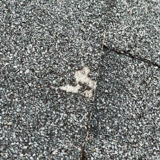 Close-up of asphalt shingle granule loss showing bare spots