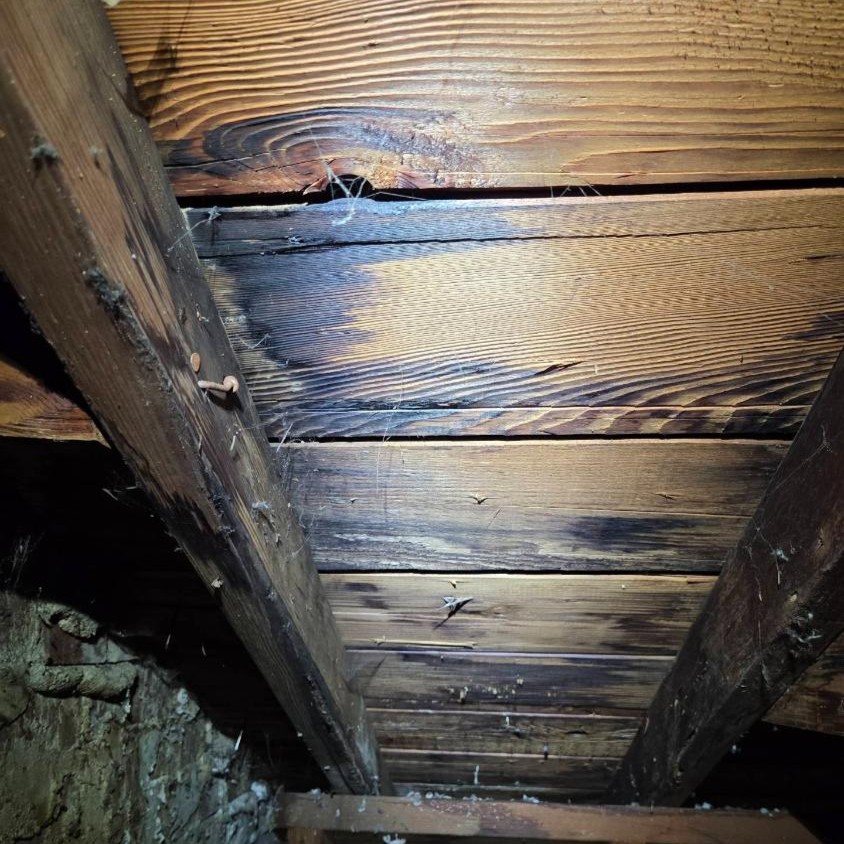 Water intrusion signs visible in attic showing roof damage