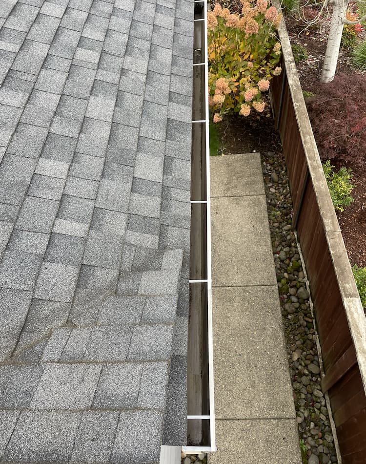 Expert gutter cleaning and maintenance service