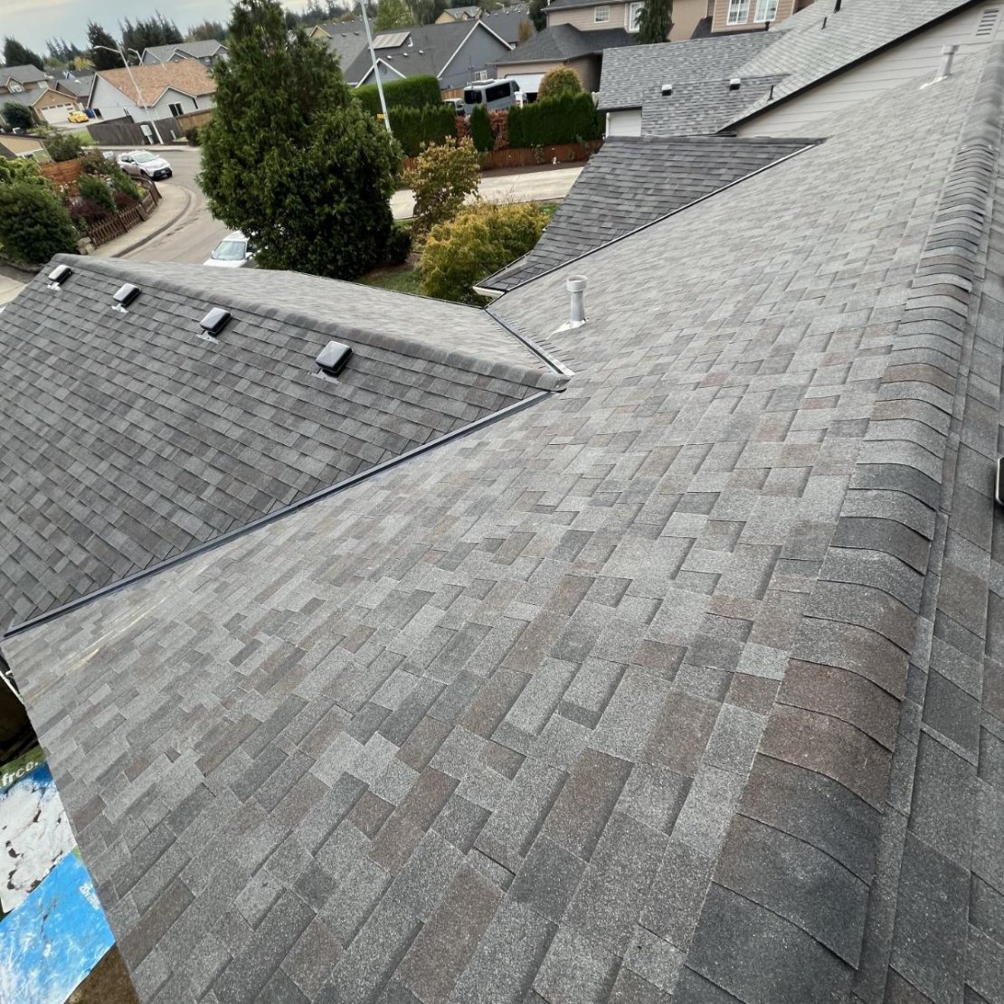 Professional roofing project