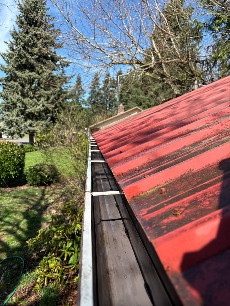 Professional gutter cleaning service in Clark County