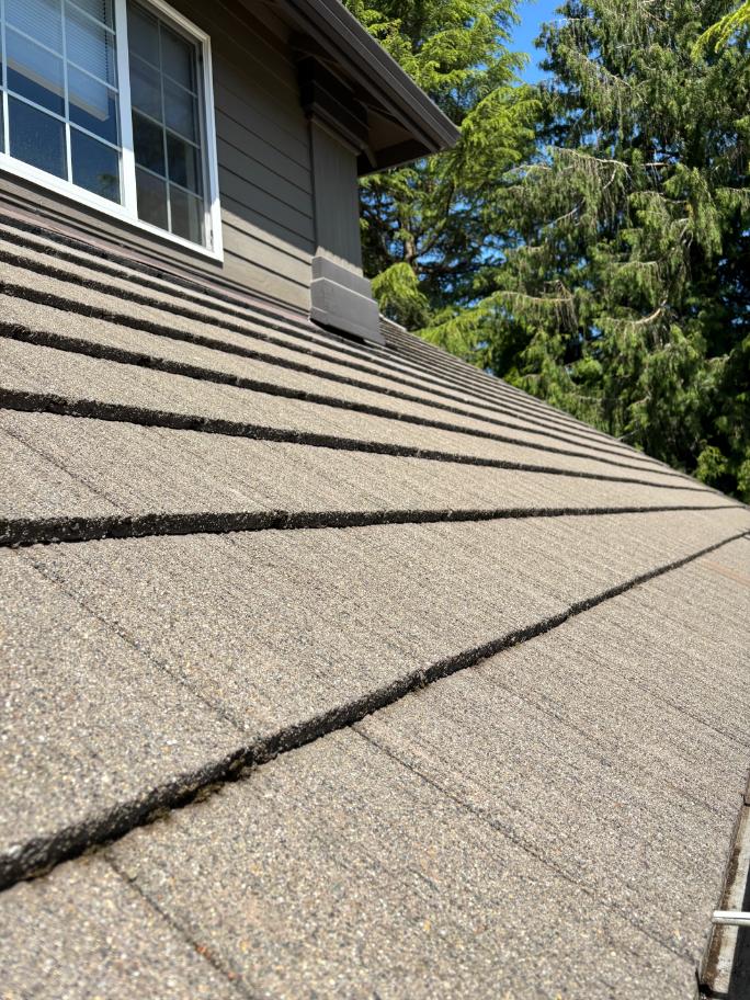 Professional tile roof cleaning service in Camas, WA