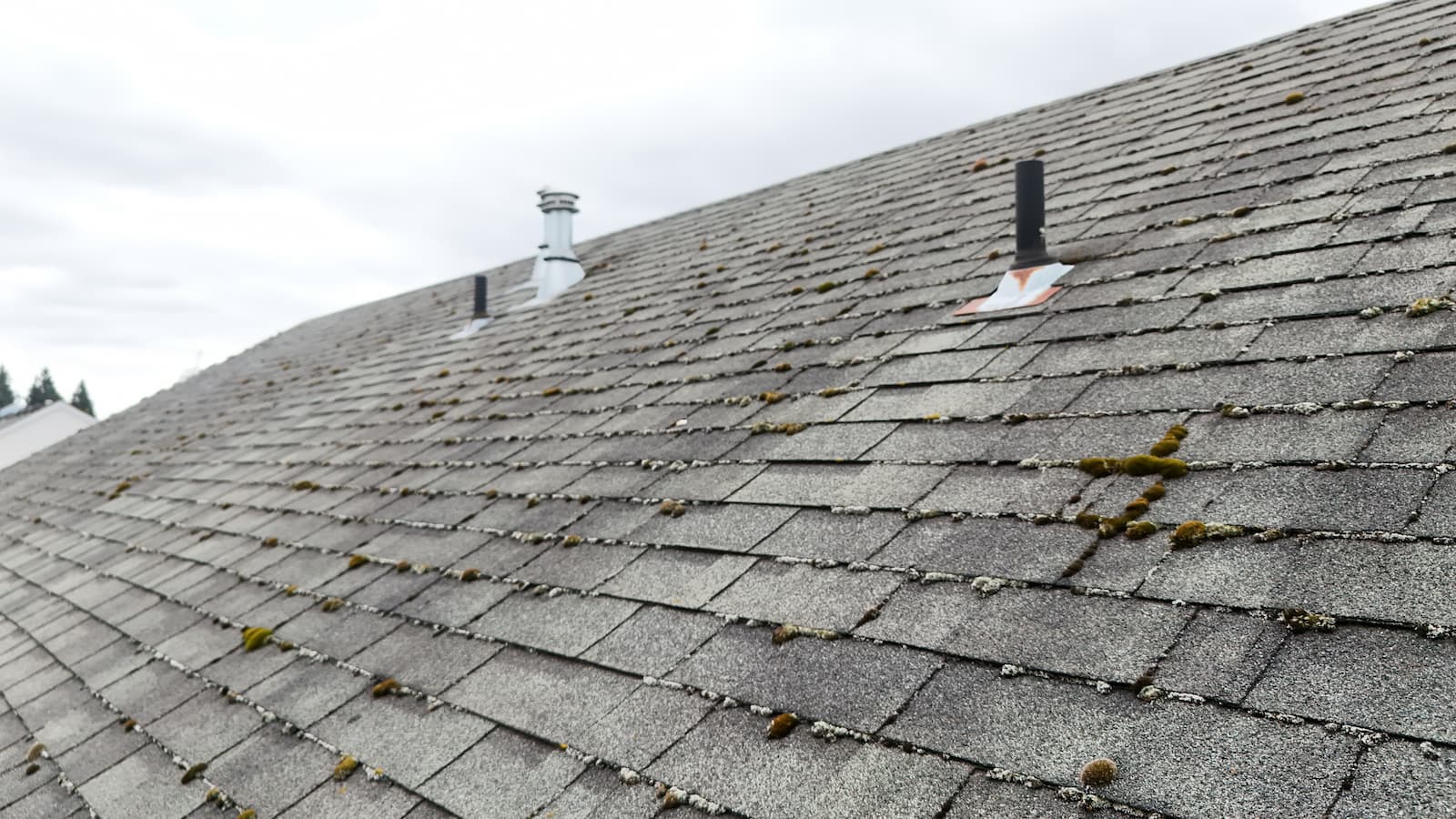 Before roof cleaning in Vancouver WA showing algae and moss buildup
