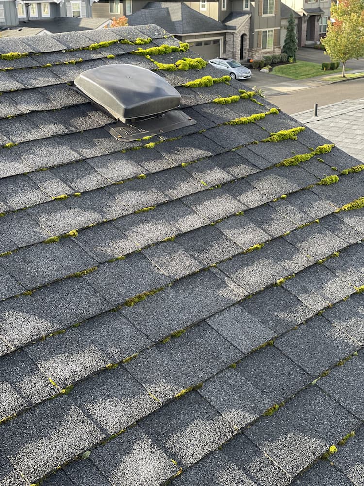 Before roof cleaning - roof with moss and algae buildup in Vancouver WA