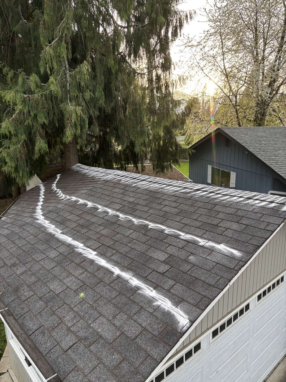 Professional roof moss prevention treatment being applied to a Vancouver WA home