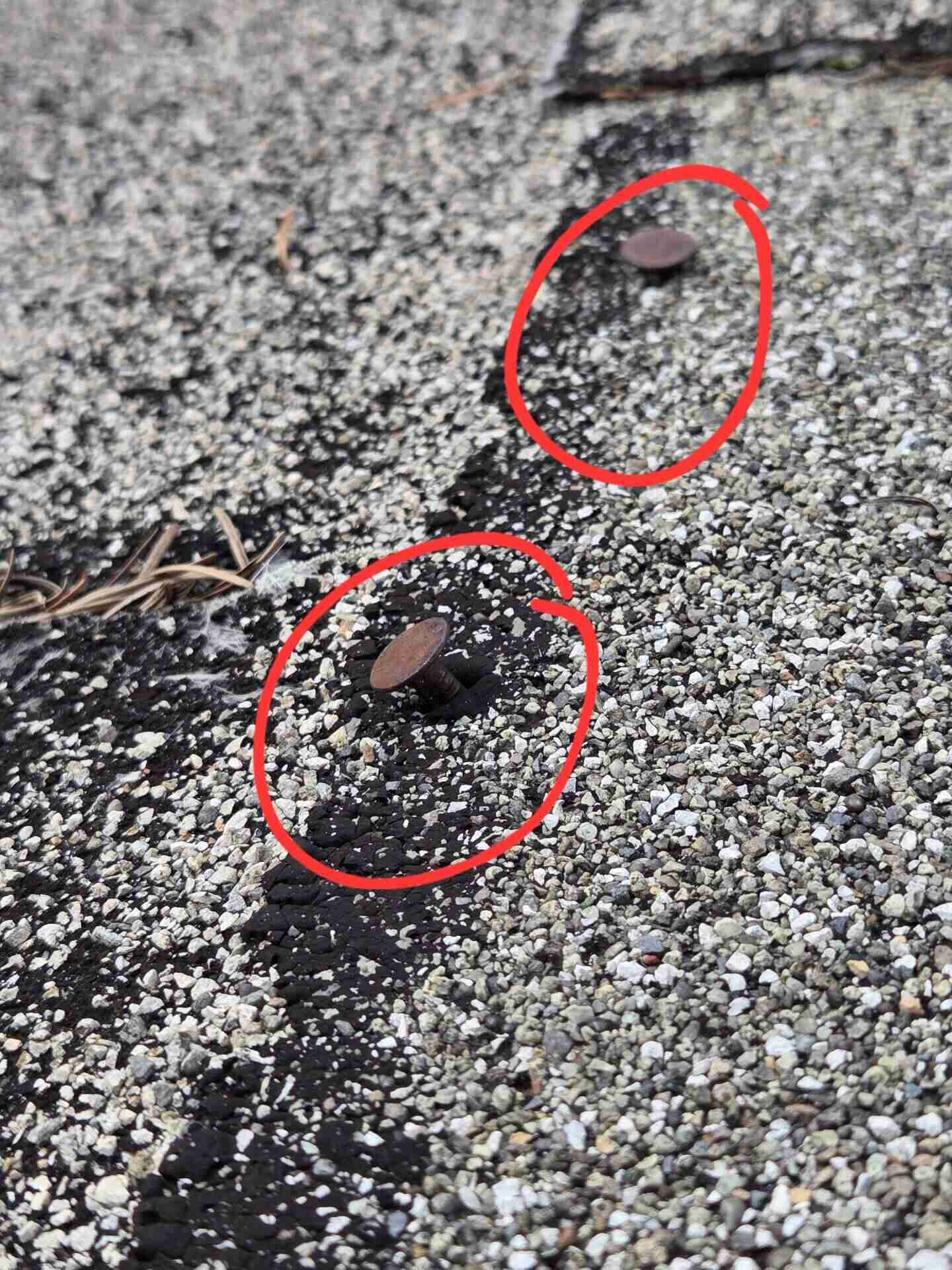 Real roof inspection finding: exposed nail heads with missing sealant on asphalt shingle roof circled in red by the inspector